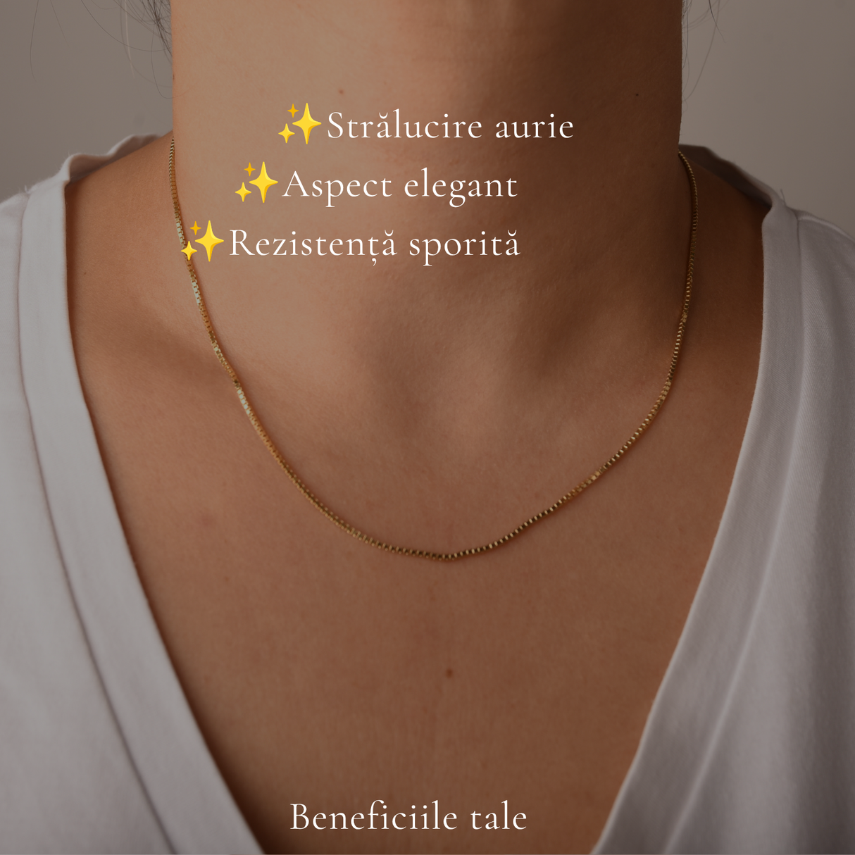 Lanț Argint 925 placat cu Aur 18K unisex model pătrat