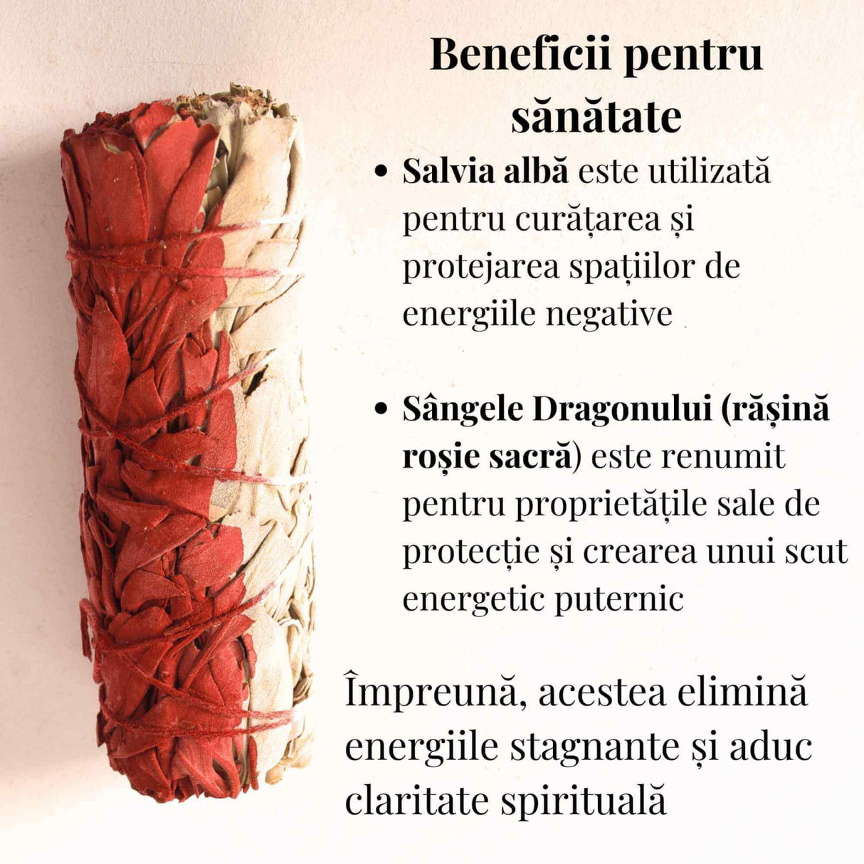 Salvie Alba cu Sangele Dragonului - Buchet Ritualic pentru Purificare si Protectie