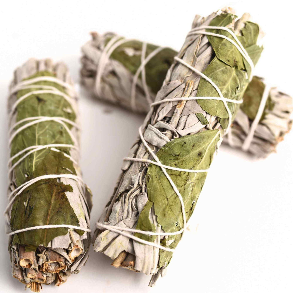Buchet Salvie Alba California cu Busuioc - Purificare si Armonie Energetica