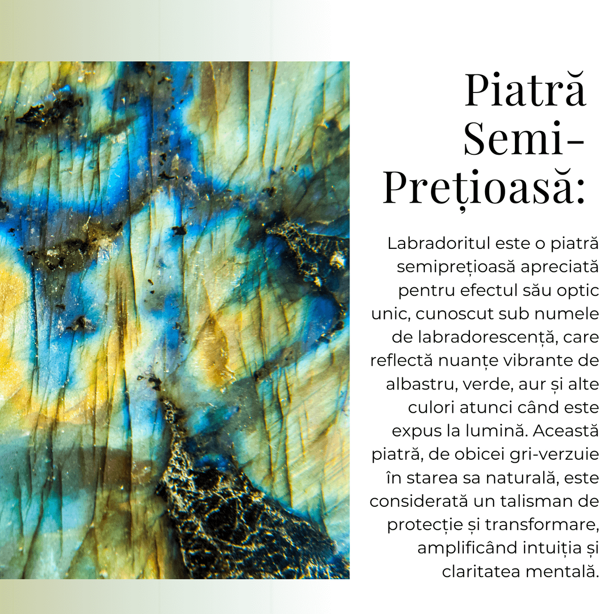 Colier Auriu Ajustabil cu Pandantiv Labradorit Lacrima pentru Protectie