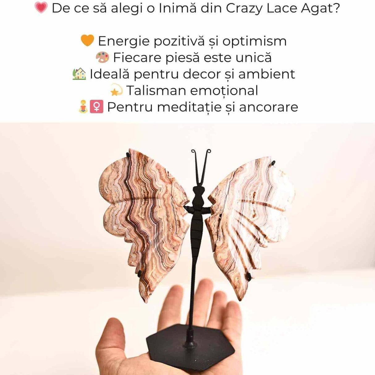Fluture cu aripi din Crazy Lace Agat - Simbol al transformarii si frumusetii naturale