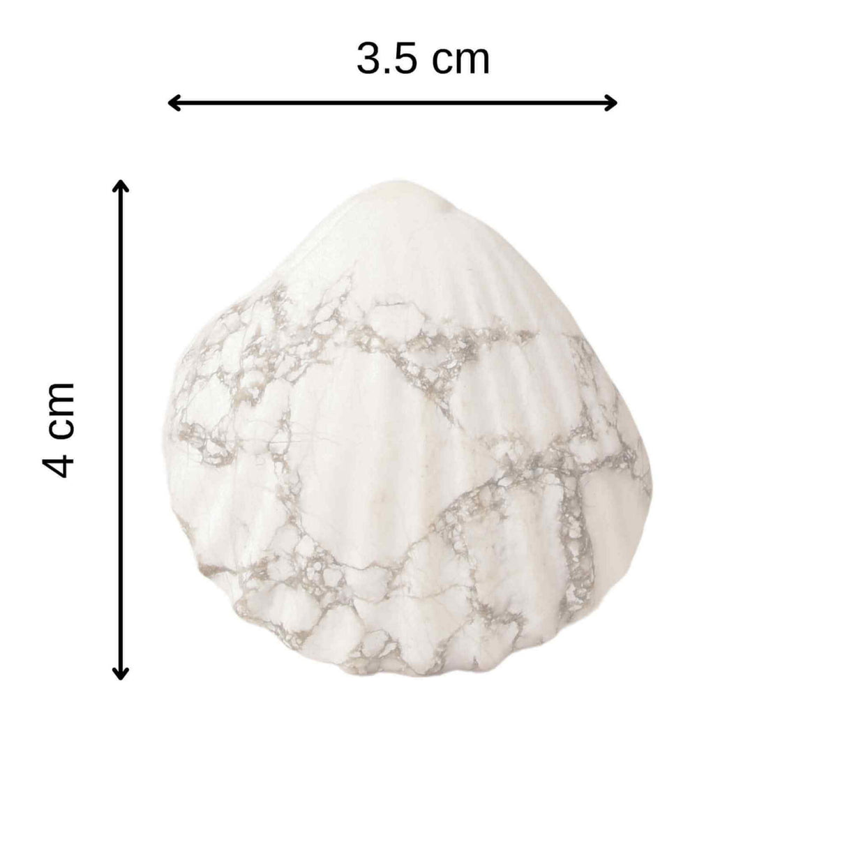 Figurina 4 cm din cristal natural Howlita in forma de scoica, ornamente pentru acvariu, marturie tip cadou de nunta, proiecte DIY