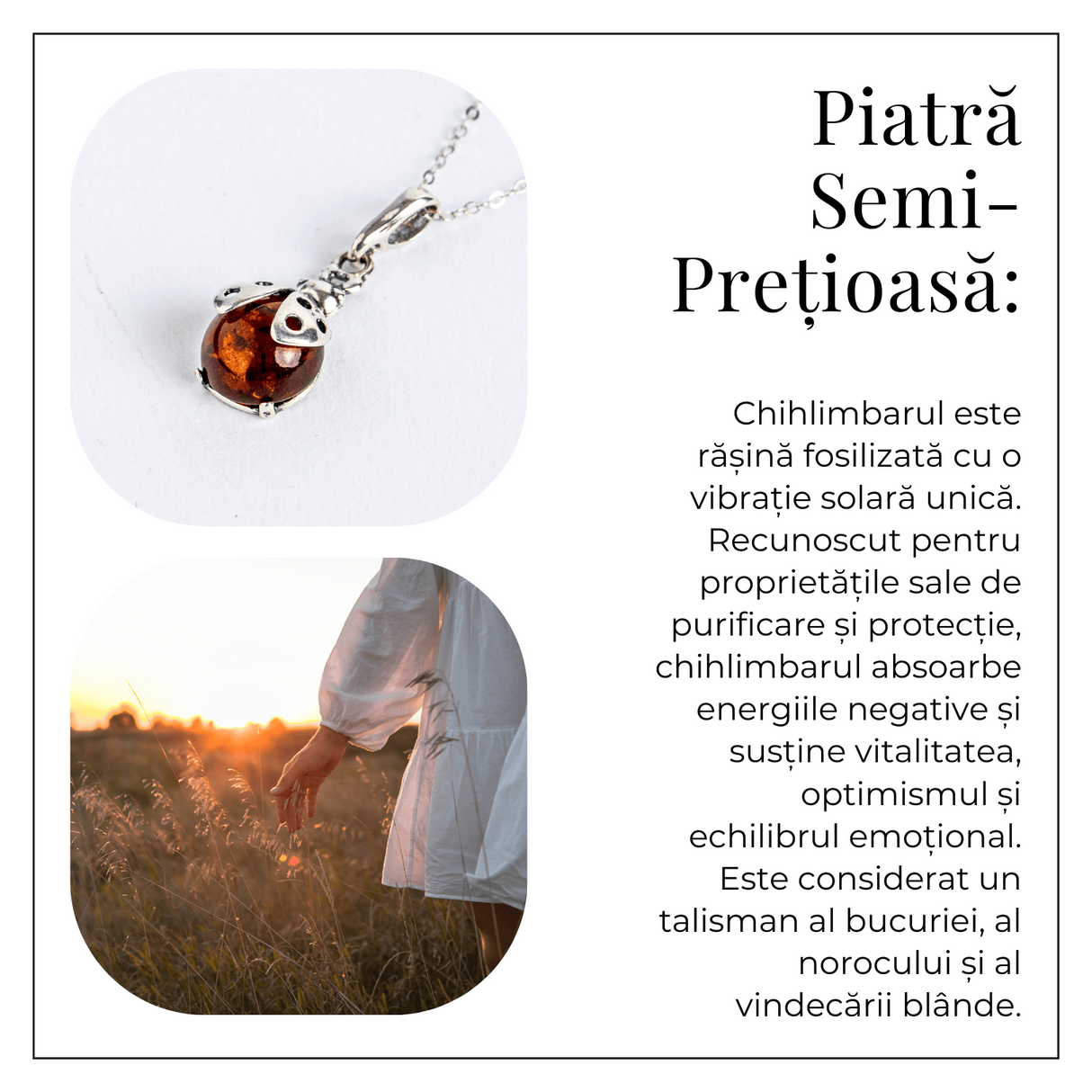 Bijuterie montura argint 925 cu vibe pozitiv - Colier Buburuza norocoasa si chihlimbar natural