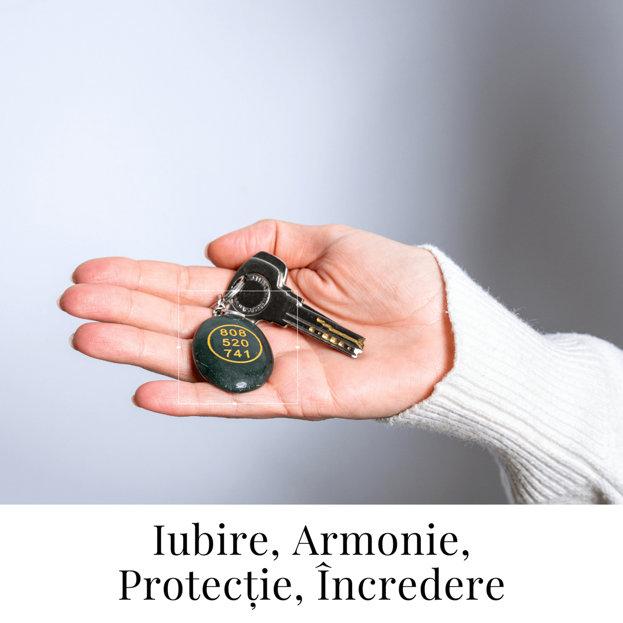 Breloc cu simbol Zibu si jad verde - Protectie si iubire universala la purtator