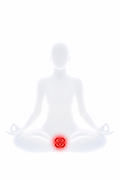 Chakra rădăcinii (Muladhara)