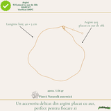 Lanț Argint 925 placat cu Aur 18K unisex cu zale fine