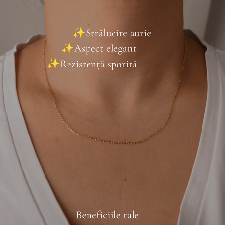 Lanț Argint 925 placat cu Aur 18K unisex elegant