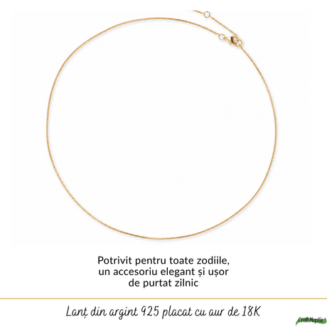 Lanț Argint 925 placat cu Aur 18K unisex fin