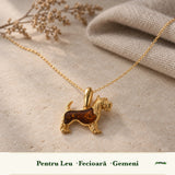 Zodiile cărora li se potrivește Chihlimbar
