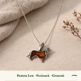 Zodiile cărora li se potrivește Chihlimbar
