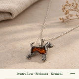 Zodiile cărora li se potrivește Chihlimbar