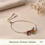 Zodiile cărora li se potrivește Chihlimbar
