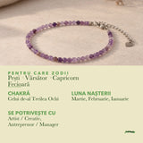 Zodiile cărora li se potrivește Ametist