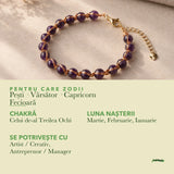 Zodiile cărora li se potrivește Ametist