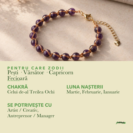Zodiile cărora li se potrivește Ametist