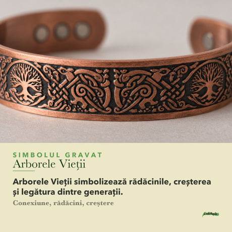 Despre Brățară din Cupru: semnificație și date