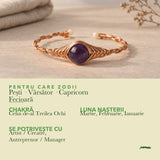 Zodiile cărora li se potrivește Ametist