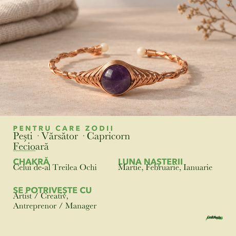 Zodiile cărora li se potrivește Ametist