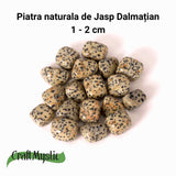 Piatra rulata de Jasp Dalmatian - Aduce echilibru, stabilitate si o legatura blanda cu natura