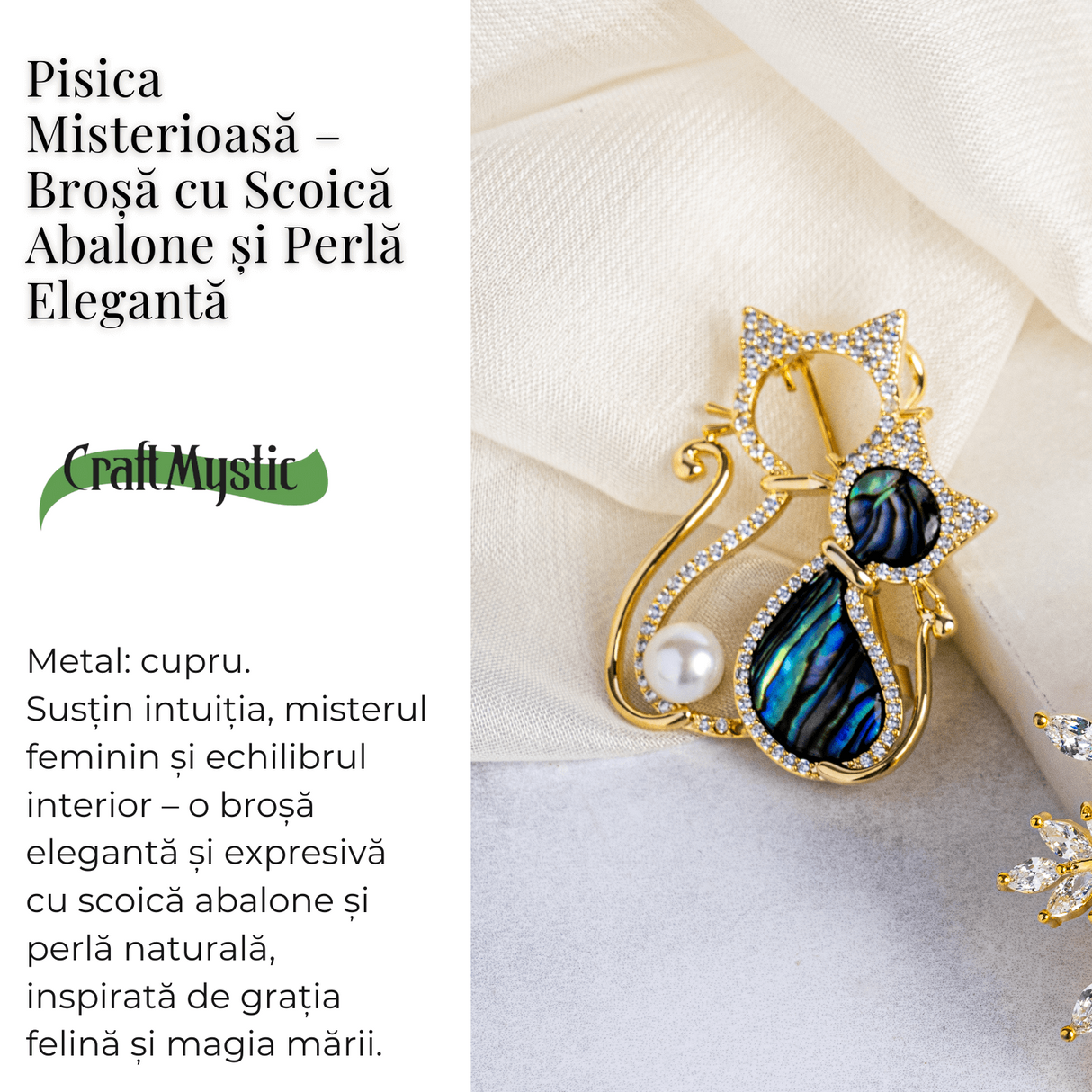 Pisica misterioasa - Brosa cu scoica abalone si perla eleganta