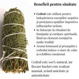 Buchet Cedru - Protectie si Purificare Energetica