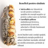 Buchet Salvie Alba California cu Garofite Galbene/Sinuata - Energie Pozitiva si Claritate