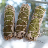 Buchet Salvie Alba California cu Busuioc - Purificare si Armonie Energetica