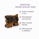 Dragon Energetic din Ochi de Tigru – Stabilitate si Forta Interioara