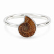 Inel cu Amolit, Argint 925 – CraftMystic