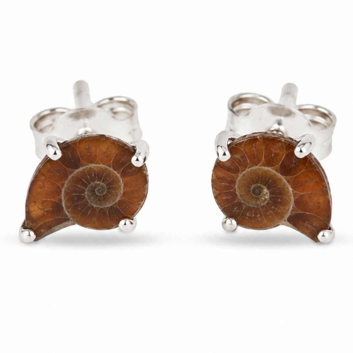 Cercei Argint 925 cu Amonit Natural in Forma de Melc – Echilibru si Evolutie