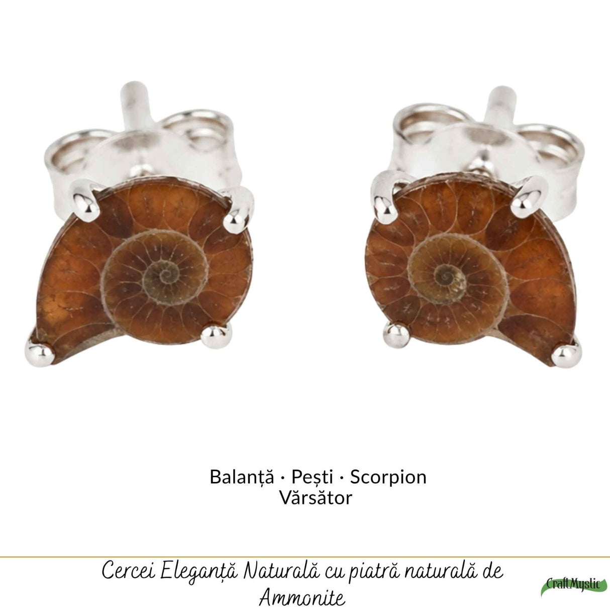 Cercei Argint 925 cu Amonit Natural in Forma de Melc – Echilibru si Evolutie
