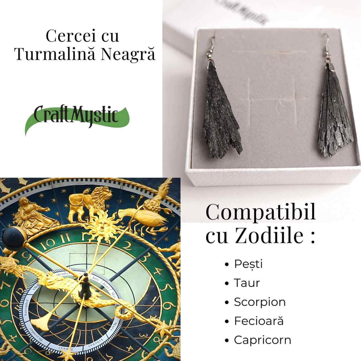 Cercei cu Turmalina Neagra model Aripa - Protectie si Eleganta Naturala