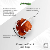Talisman pentru impamantare si putere interioara - Cercei cu Jasp Rosu