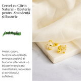 Cercei pentru Abundenta si Bucurie - Citrin Natural