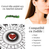 Calm si Echilibru Interior - Cercei Lungi din Argint 925 cu Piatra Naturala de Ametist