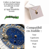 Colier lant inox cu pandantiv montura pe argint 925 placat cu aur 18k si Agat Scenic Dentritic - Claritate si echilibru emotional