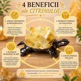 Lampa cu Citrin Natural in Forma de Broasca Testoasa – Prosperitate si Energie Pozitiva