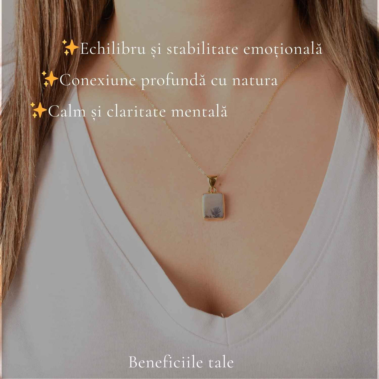 Colier Argint 925 Placat Aur 18K cu Agat Scenic Dendritic Dreptunghi – Echilibru si Claritate