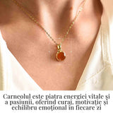 Colier cu lant inox cu Carneol Rotund in montura Argint 925 Placat cu Aur 18K - Energie si Curaj Zilnic