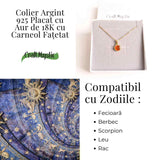 Colier cu lant inox cu Carneol Rotund in montura Argint 925 Placat cu Aur 18K - Energie si Curaj Zilnic
