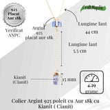 Claritate si Aliniere - Colier din Argint 925 Placat cu Aur 18K cu Dublu Kianit (Cianit)