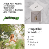 Colier Titanium cu Agat Muschi Dreptunghi - Echilibru Natural si Conexiune cu Natura
