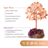 Copacel 12-13 cm cu 108 pietre naturale semipretioase Agat Rosu pe baza de Ametist cluster