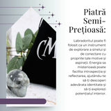 Figurina Craniu din Labradorit Natural, 5 cm - Sprijina Transformarea si Protectia Energetica