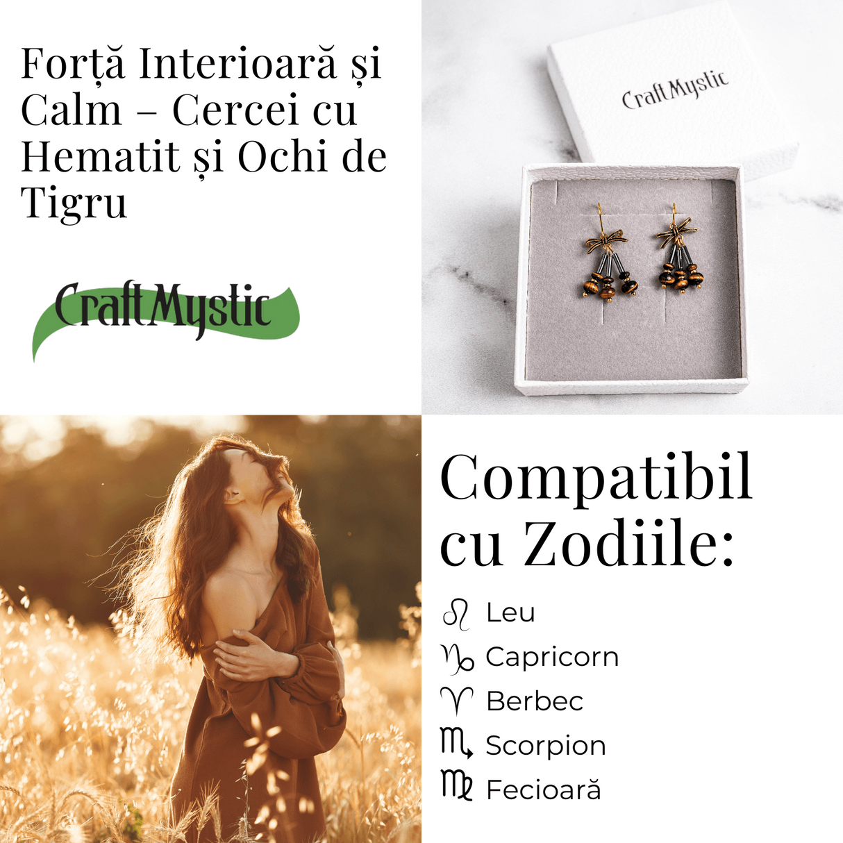 Forta Interioara si Calm - Cercei cu Hematit si Ochi de Tigru