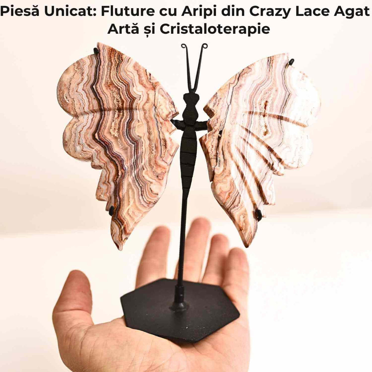 Fluture cu aripi din Crazy Lace Agat - Simbol al transformarii si frumusetii naturale