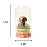 Figurina din piatra naturala semipretioasa Ochi de tigru in forma de ciuperca in mini terrarium 5 cm din sticla