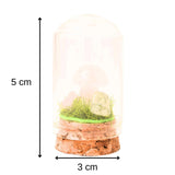 Figurina din piatra naturala semipretioasa Cuart Roz in forma de ciuperca in mini terrarium 5 cm din sticla