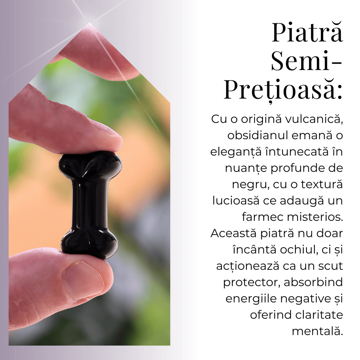 Figurina in Forma de Os din Cristale Naturale 30mm - Obsidian