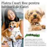 Figurina in Forma de Os din Cristale Naturale 30mm - Cuart Roz
